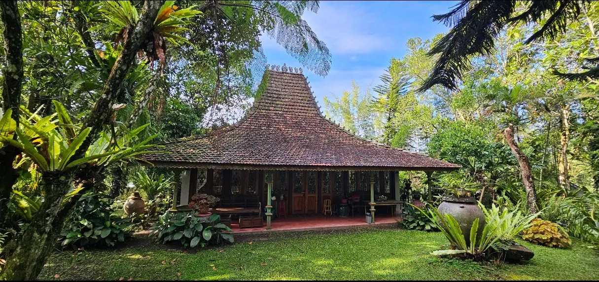 Joglo Kaligriya di bawah rimbun kebun
