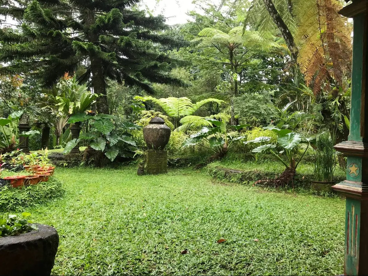 Lapangan rumput luas di bawah pakis tiang