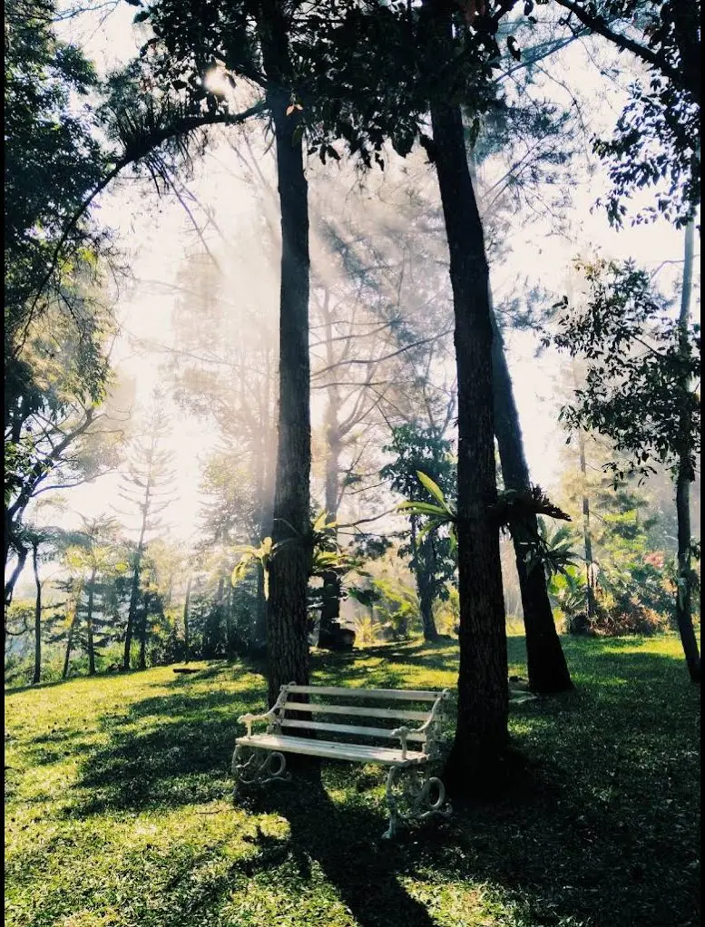 Cahaya pertama menembus kabut