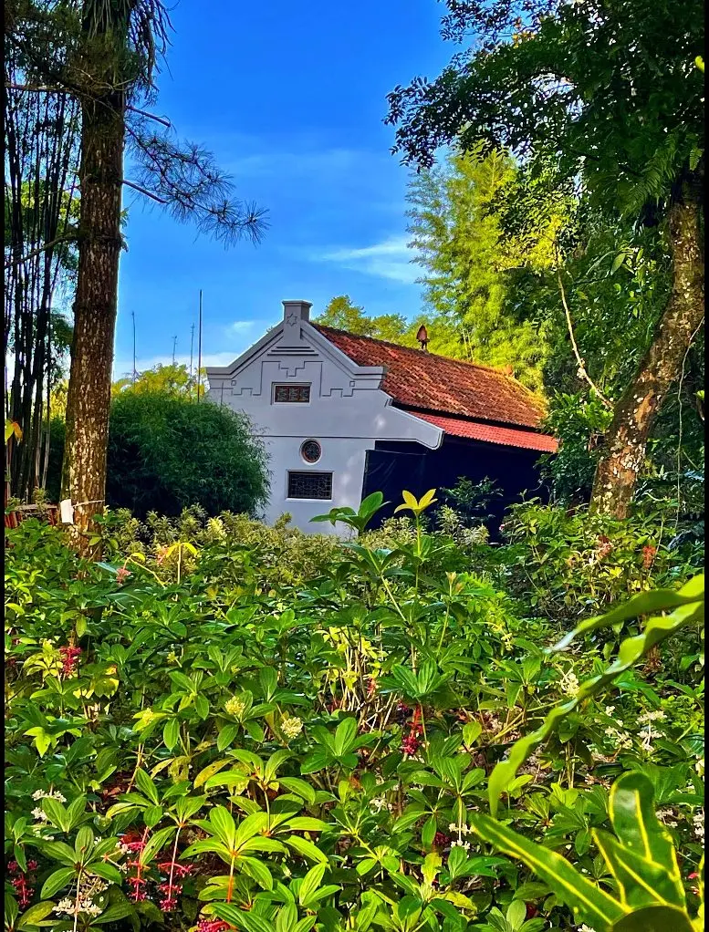 Rumah kebun berdinding putih