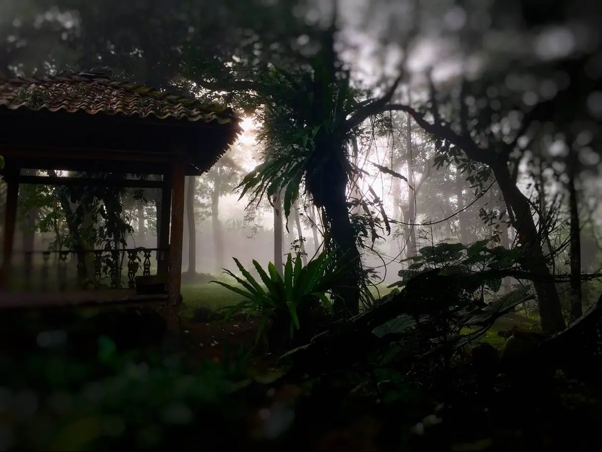 Paviliun dalam kabut pagi