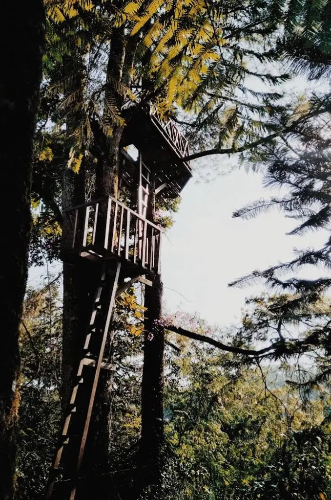 Rumah pohon di kebun