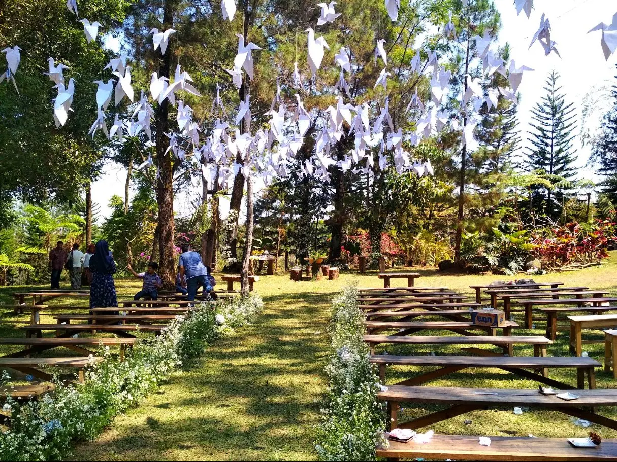 Doves released at a garden wedding