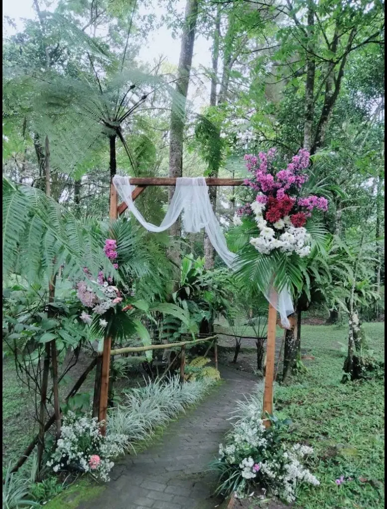 The wedding arch on the lawn