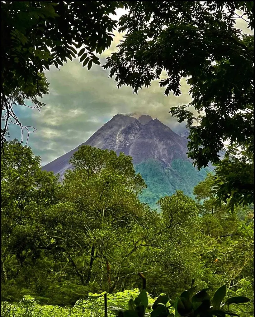 Merapi berbingkai tajuk pepohonan