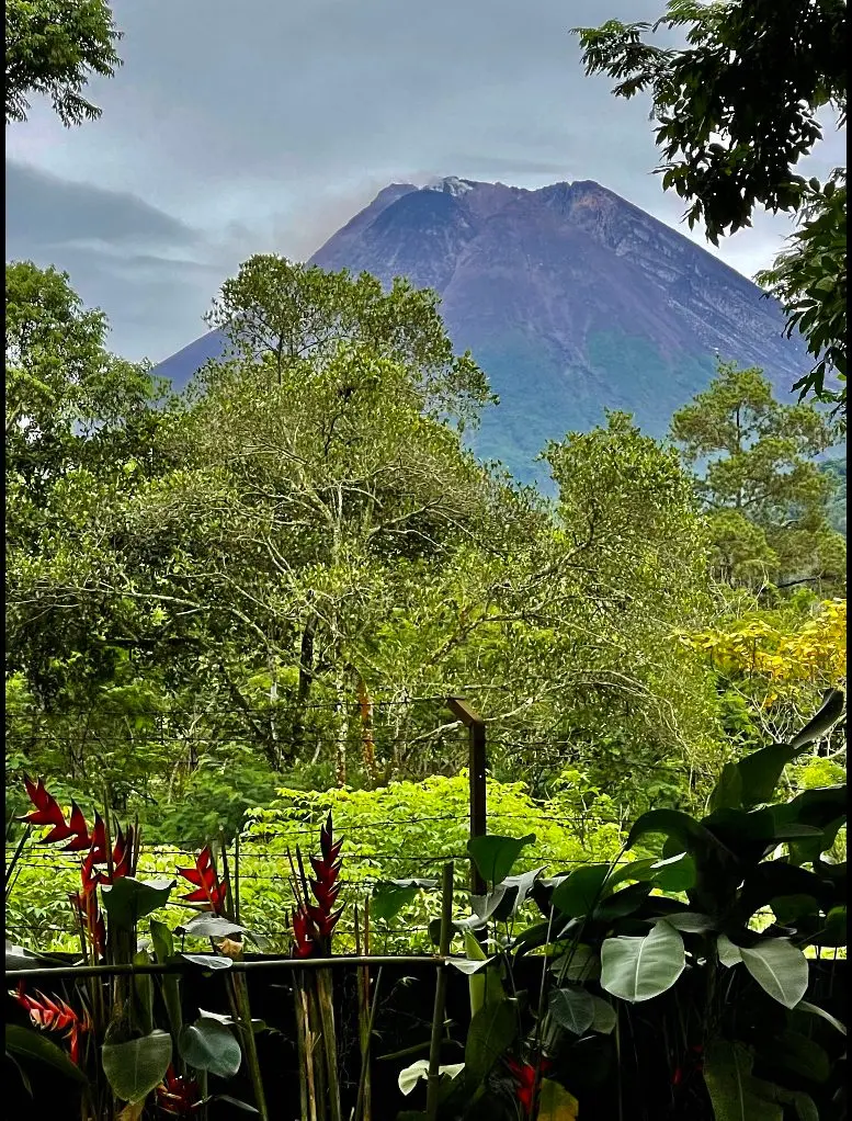 Merapi terlihat dari kebun